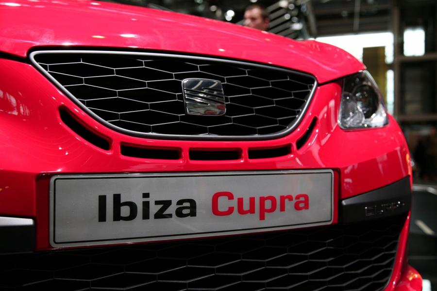  Seat Ibiza Cupra 2009 года  (фото 21 из 84)
